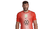 Germany Applause Sticker by VfL Wolfsburg