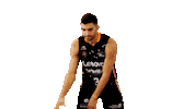 Liga Endesa Spinning Sticker by ACB