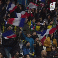 Womens6Nations fan fans womens six nations GIF