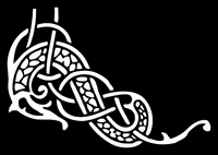 nordicmusicmerch music merchandise nordicmusicmerch GIF