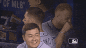 Regular Season Sport GIF by MLB