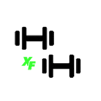 Sport Fitness Sticker by XTRAFIT