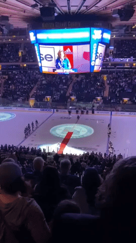 Hockey Fans Boo New York Governor Before Game at Madison Square Garden