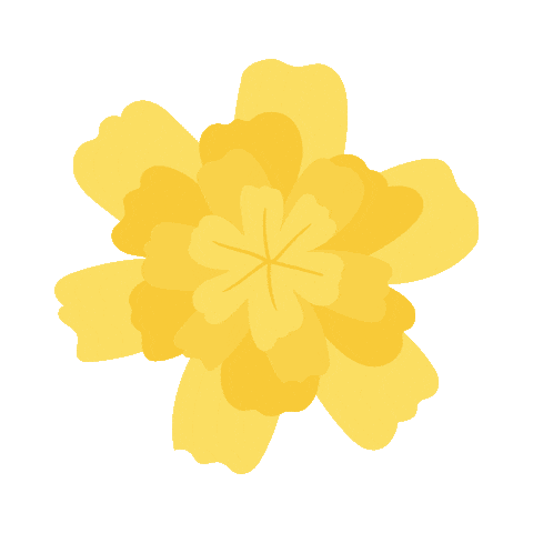 Fortune Pongal Contest Sticker by influencerin