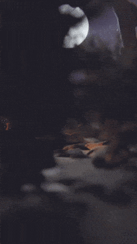 Webber Dont Starve GIF by Youtooz