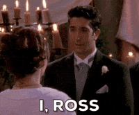 Season 4 Ross GIF by Friends