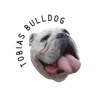 Tobias Bulldog Sticker by bulldogclub