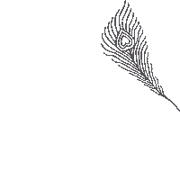 Feathers Pluma Sticker by Bona Eva