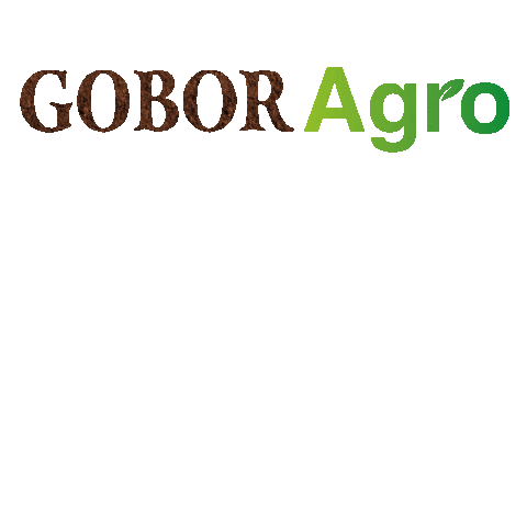 GoborTransporte giphyupload agro transporte logistica Sticker