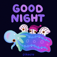 Good Night GIF by pikaole