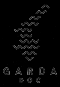 GIF by GARDADOC