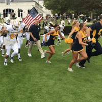 Football Gomocs GIF by Chattanooga Mocs