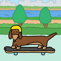 Go Sausage Dog GIF by Joguman Studio