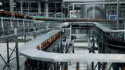 beer GIF