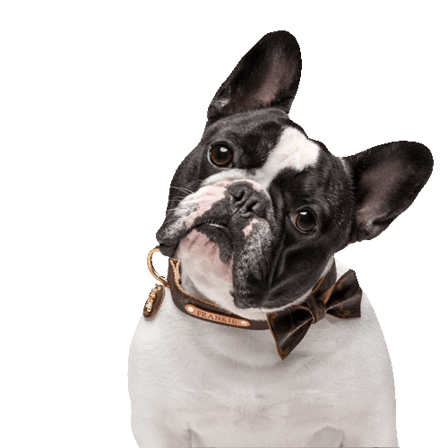 Frankie Kiss Sticker