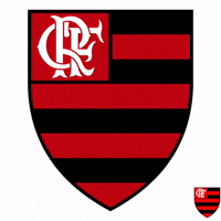 Flamengo GIF