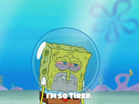 season 8 bubble troubles GIF by SpongeBob SquarePants