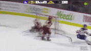 Moncton Wildcats GIF