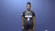 Ususoccer GIF by USUAthletics