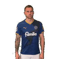 2 Bundesliga Football Sticker by Holstein Kiel