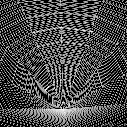 black and white spiral GIF by Pi-Slices