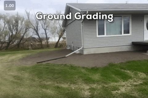 regina groundgrading GIF
