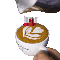 Coffee Time Barista Sticker by Dritan Alsela Coffee