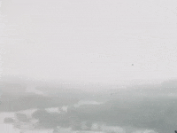 Merry Go Round Dancer GIF by Stray Fossa