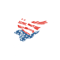 American Flag Democracy Sticker by Creative Courage