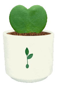 Valentines Day Love Sticker by Piantando