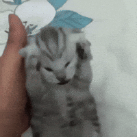 Get Out Of My Head GIF