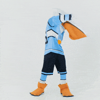 PelicansFi dance sports hockey mascot GIF