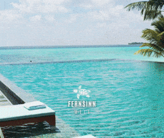 Fernweh GIF by Fernsinn Welt - ReiseBeratung Anja Horn