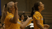 Clap Win GIF by Valparaiso University
