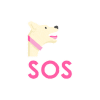 Sos Help Sticker by petinnmexico