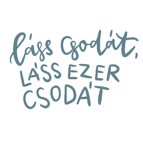 Zenekar Dalszoveg Sticker