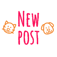 Cats Dogs Sticker by MyPetBuddy