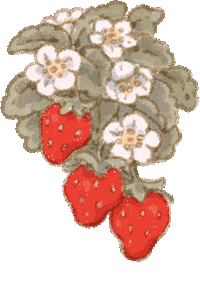 Strawberry Float Sticker