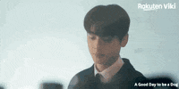 Cha Eun Woo Kdrama Couple GIF by Viki