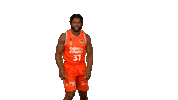Liga Endesa Basketball Sticker by ACB