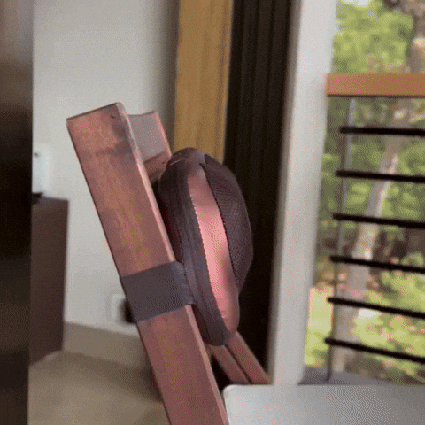 GrabifyStore giphyupload GIF