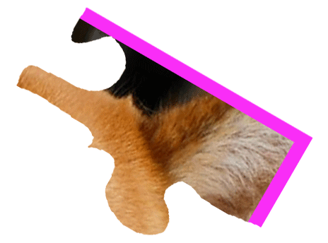 Puzzle Shiba Sticker