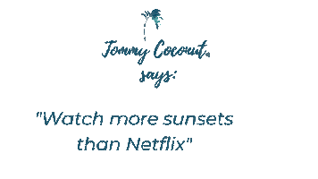 tommycoconutcuracao happy netflix holiday vacation Sticker