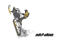 Snow Race Sticker by Ski-Doo