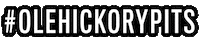 olehickorypits olehickorypits ole hickory pits Sticker