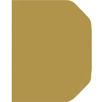 Logo Gold Sticker by DOZR