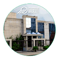 Malagutiinstituto Sticker by Instituto Malaguti