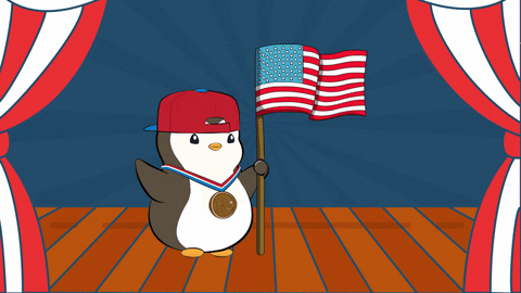 Proud Usa GIF by BigBrains