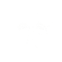 Explore Adventure Time Sticker by ursus adventures