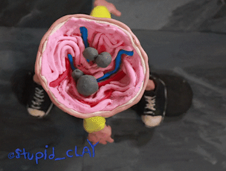 stupid_clay giphyupload animation skating claymation GIF